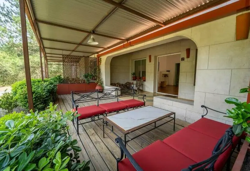 سوییت, Suites Camacho