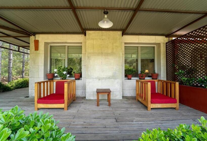 Люкс, Suites Camacho