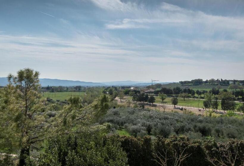 اتاق اکونومی, La Piaggia