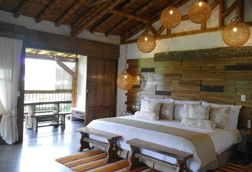 اتاق لوکس, Casa San Carlos Lodge Pereira