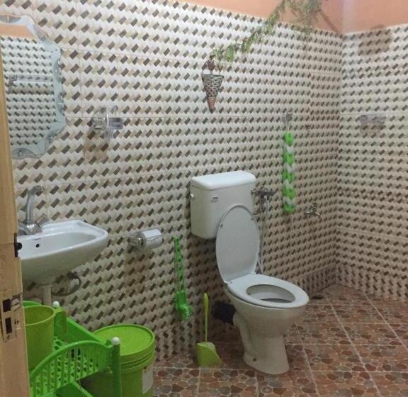 اتاق استاندارد, Adventures Nest
