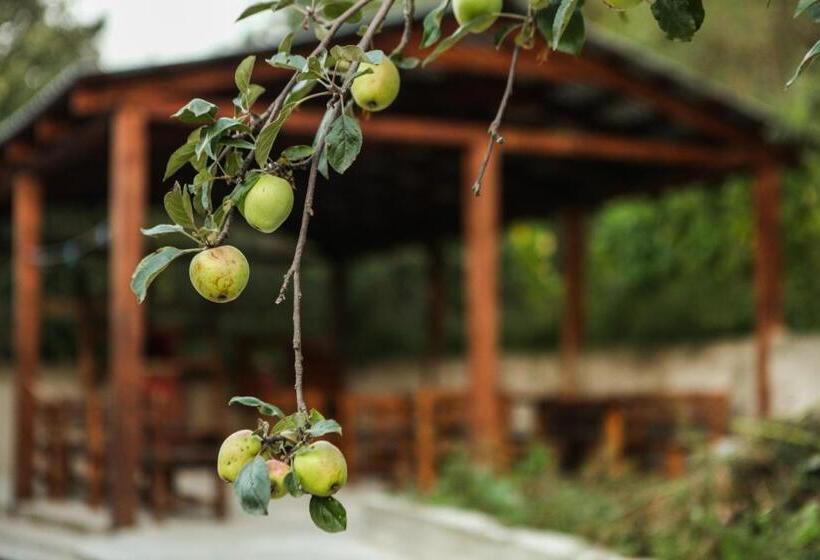 エコノミールーム, Guest House Dilijan Orran