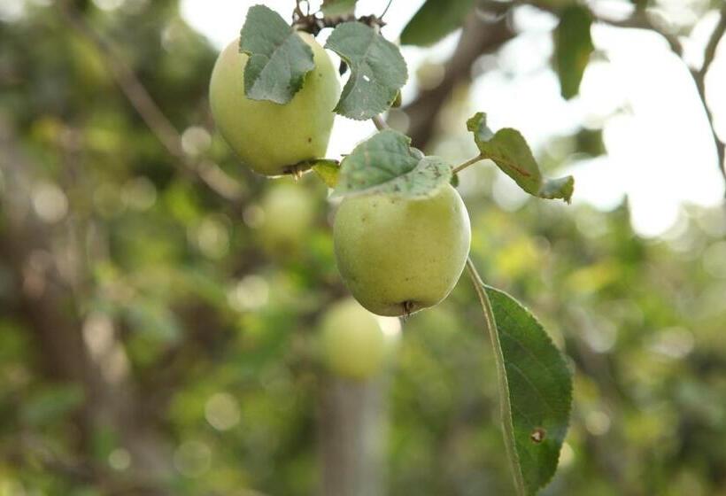 スイート（家族用）, Guest House Dilijan Orran