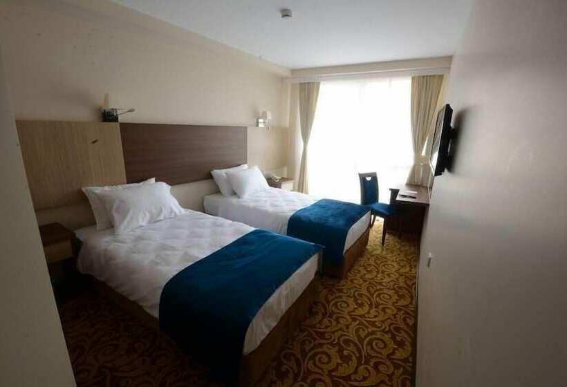 Standart Oda, Arslanlar Konağı