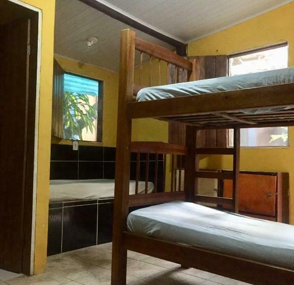 Lit en Chambre Commune, Bananas Hostel