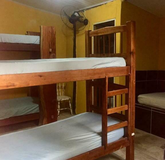 Lit en Chambre Commune, Bananas Hostel