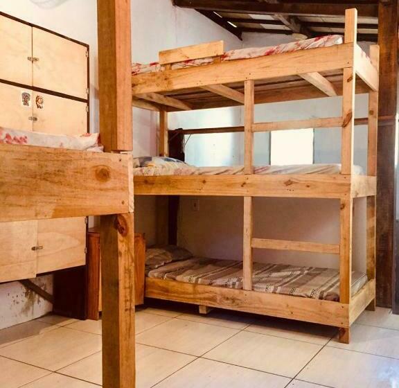 Lit en Chambre Commune, Bananas Hostel