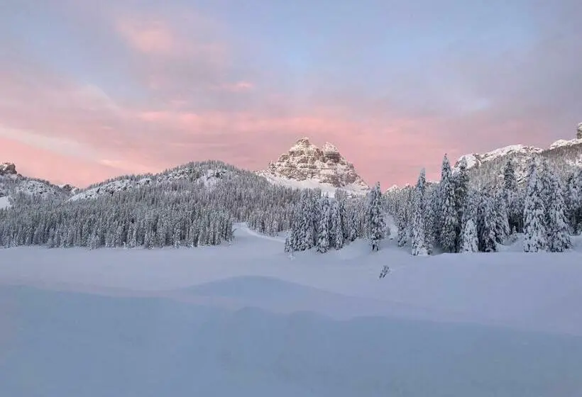 スタンダードルーム, Dolomiti Des Alpes