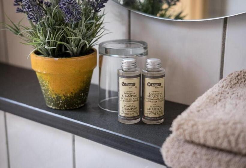 싱글 기본룸, Landhotel Eifellust