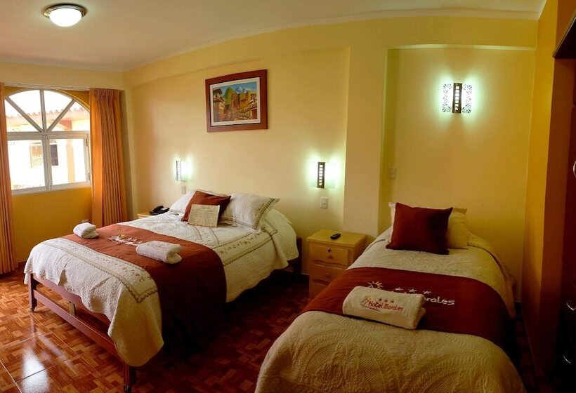 اتاق استاندارد با چشمانداز باغ, Morales