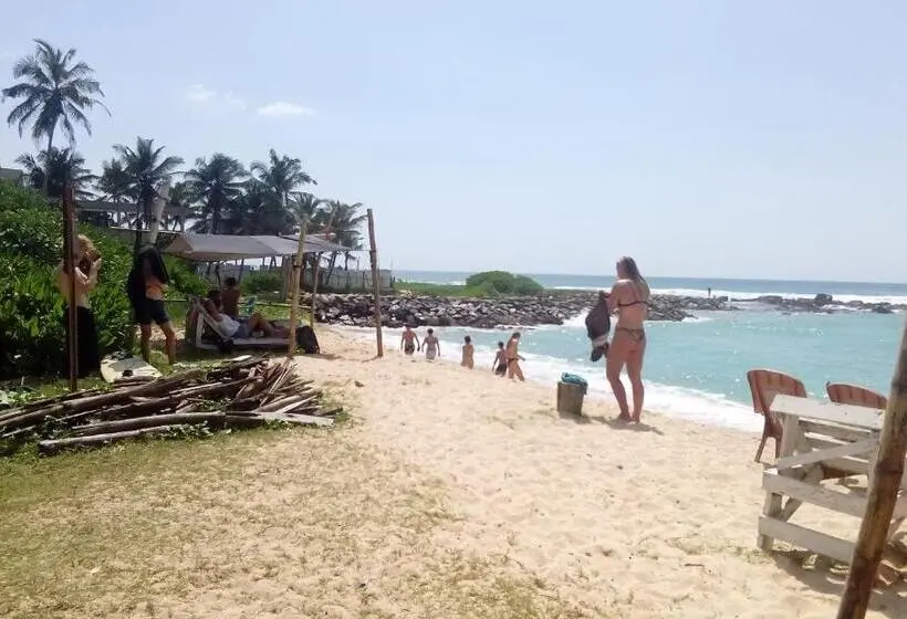スタンダードシングルルーム, Villa Agrico And Surf Guest