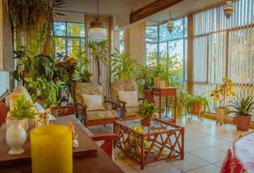 غرفة كومفورت ثلاثية, Solar Dos Tchuccos