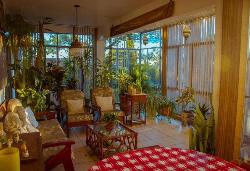 جناح, Solar Dos Tchuccos