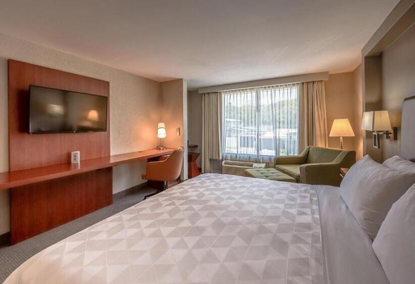 스탠다드 룸 킹사이즈 침대, Holiday Inn   San Jose La Sabana, An Ihg