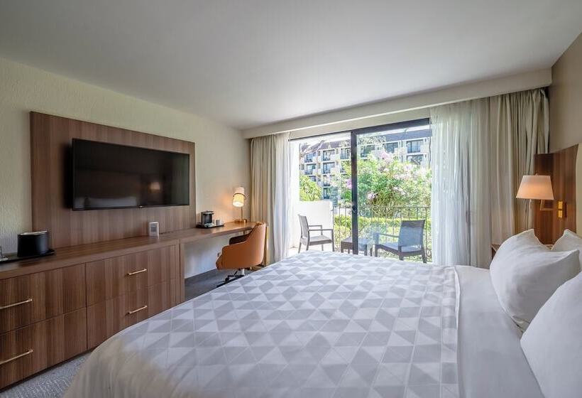 标准间带双人床, Holiday Inn   San Jose La Sabana, An Ihg