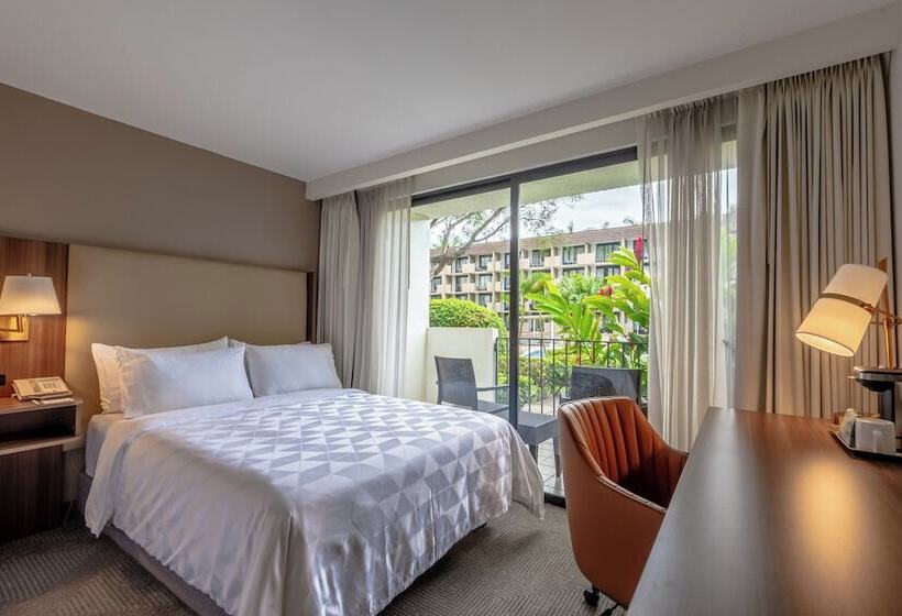 标准间带双人床, Holiday Inn   San Jose La Sabana, An Ihg