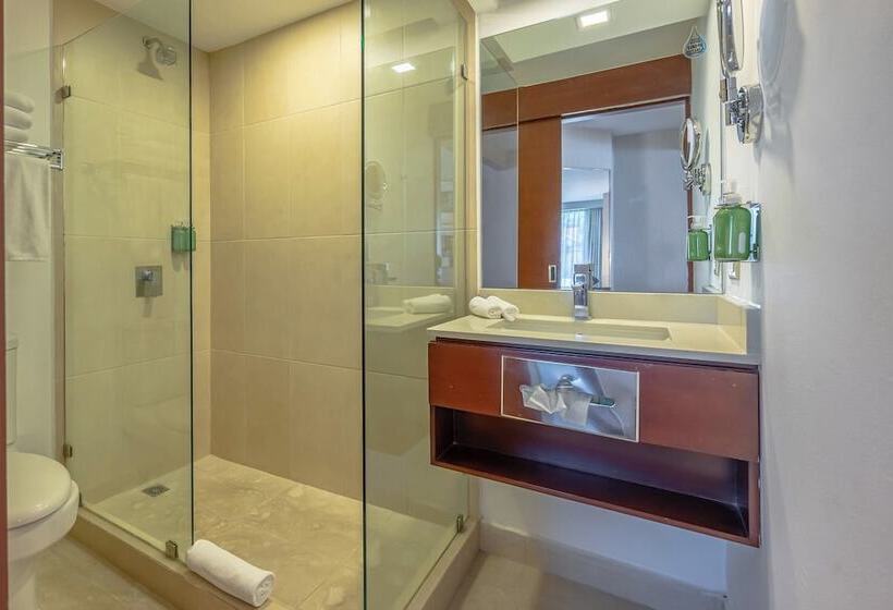 带2个双人床的标准工作室, Holiday Inn   San Jose La Sabana, An Ihg