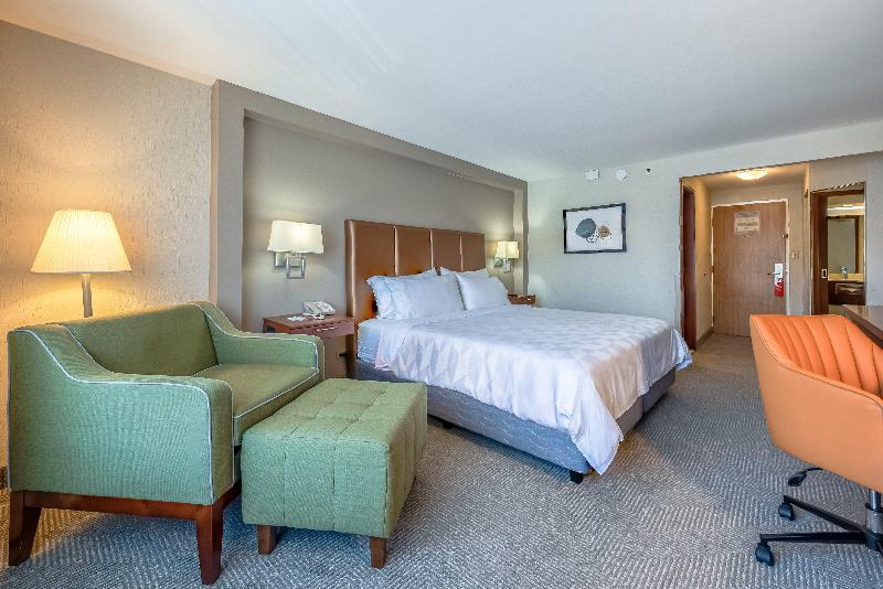 带大床的标准间, Holiday Inn   San Jose La Sabana, An Ihg