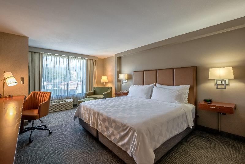 스탠다드 룸 킹사이즈 침대, Holiday Inn   San Jose La Sabana, An Ihg