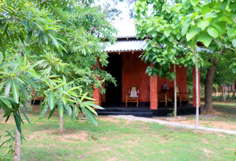 이코노미 패밀리 스위트, Lavish Eco Jungle