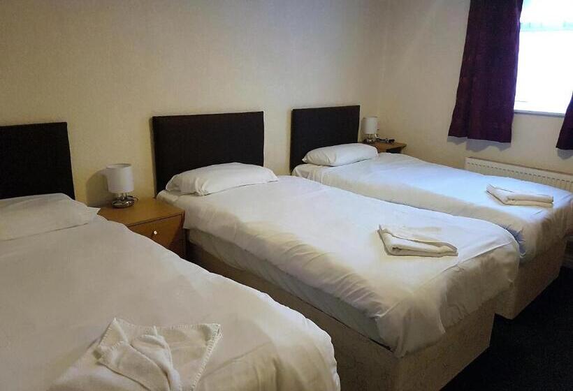 스탠다드 트리플 룸, The Mercury