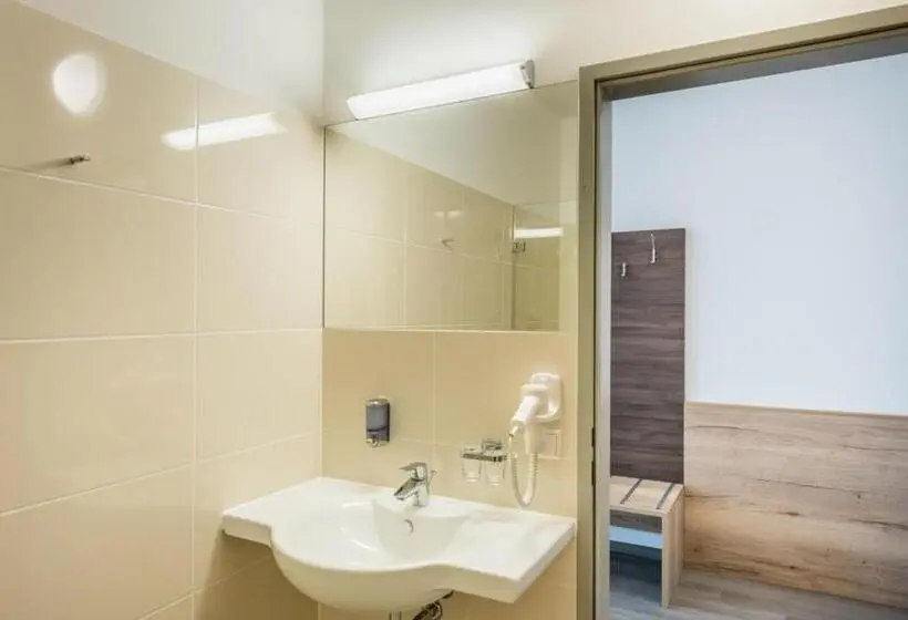Deluxe-huone, Sleepin Premium Motel Loosdorf