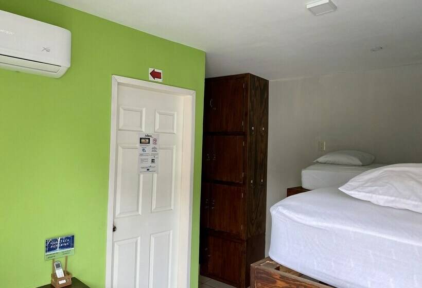 اتاق استاندارد چهار تخته, Hostal Casa Huasteca