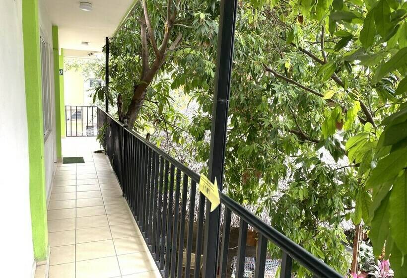 اتاق استاندارد چهار تخته, Hostal Casa Huasteca
