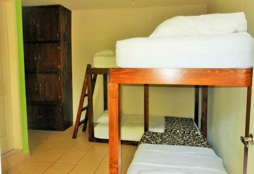 تختخواب در اتاق مشترک, Hostal Casa Huasteca