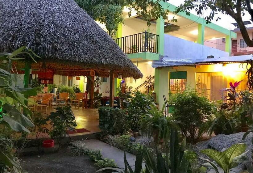 تختخواب در اتاق مشترک, Hostal Casa Huasteca