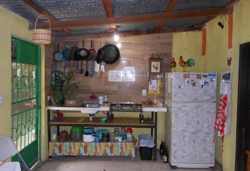 ルームシェアのワンベッド, Hostal Casa Huasteca