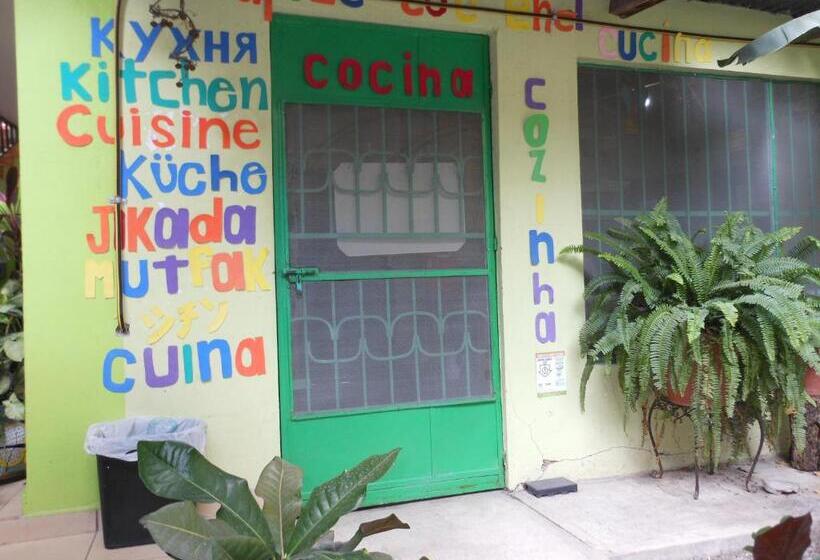 スタンダード４人部屋, Hostal Casa Huasteca