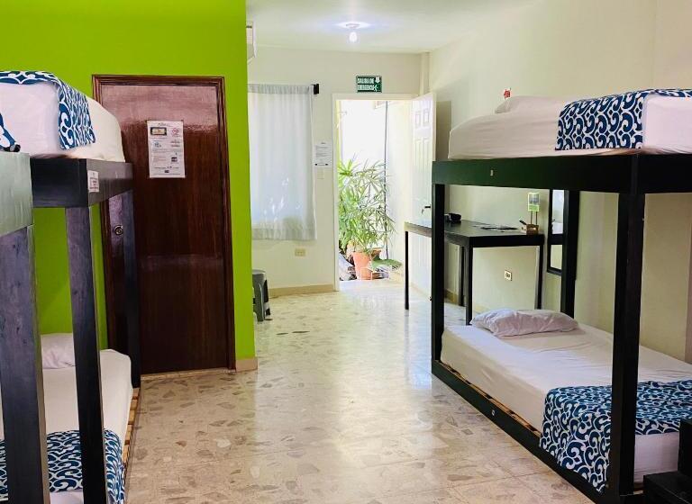 ファミリールーム, Hostal Casa Huasteca