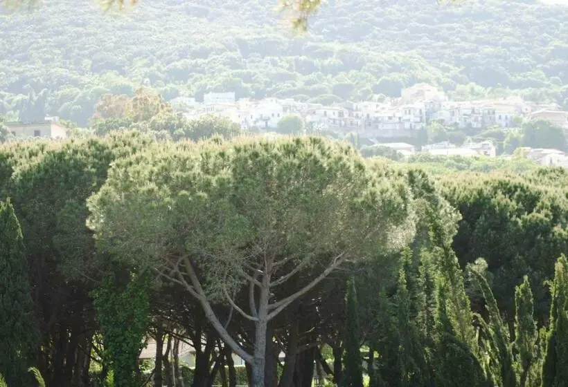 اتاق استاندارد یک نفره, Mastropeppe