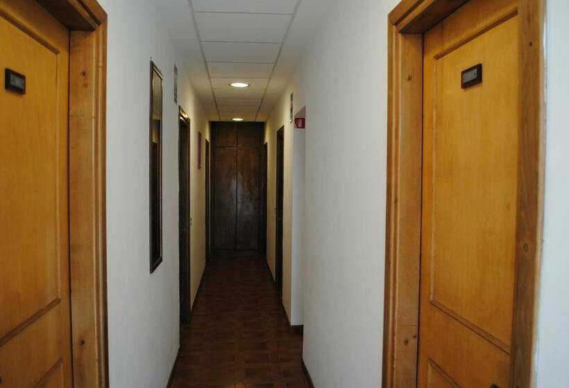 标准单人间, Mastropeppe