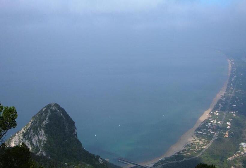 标准单人间, Mastropeppe