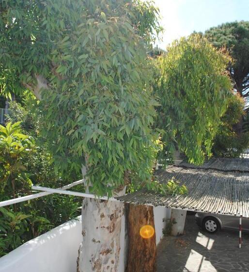 标准间, Mastropeppe