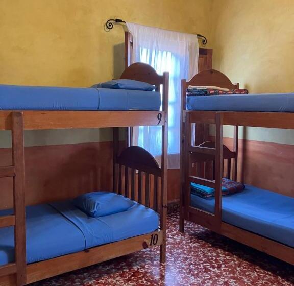 تختخواب در اتاق مشترک, Hostel Iguana Azul