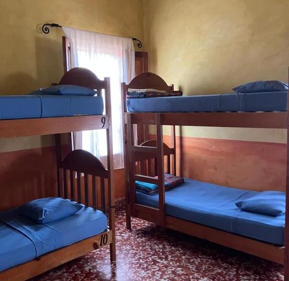 تختخواب در اتاق مشترک, Hostel Iguana Azul