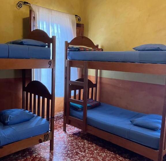 تختخواب در اتاق مشترک, Hostel Iguana Azul