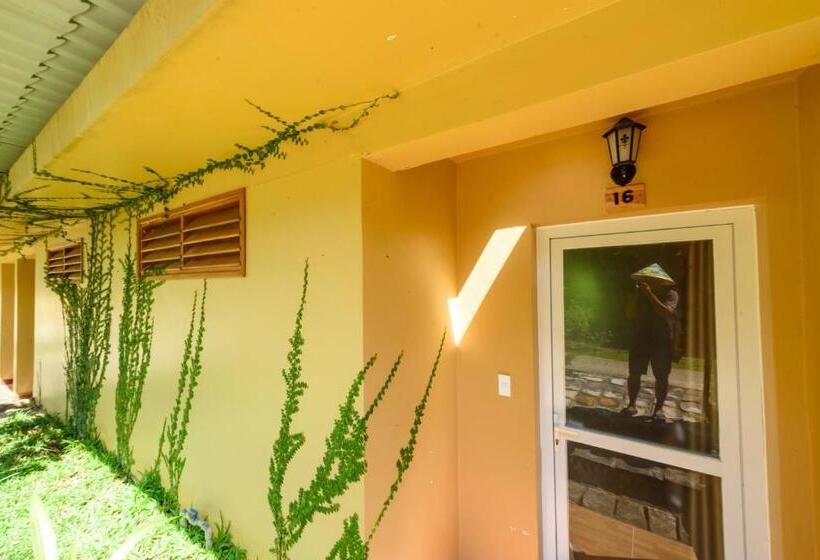 اتاق لوکس با چشم‌انداز دریا, Mango Beach Resort