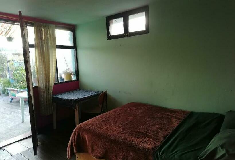 اتاق استاندارد یک نفره, Latinos Brothers House