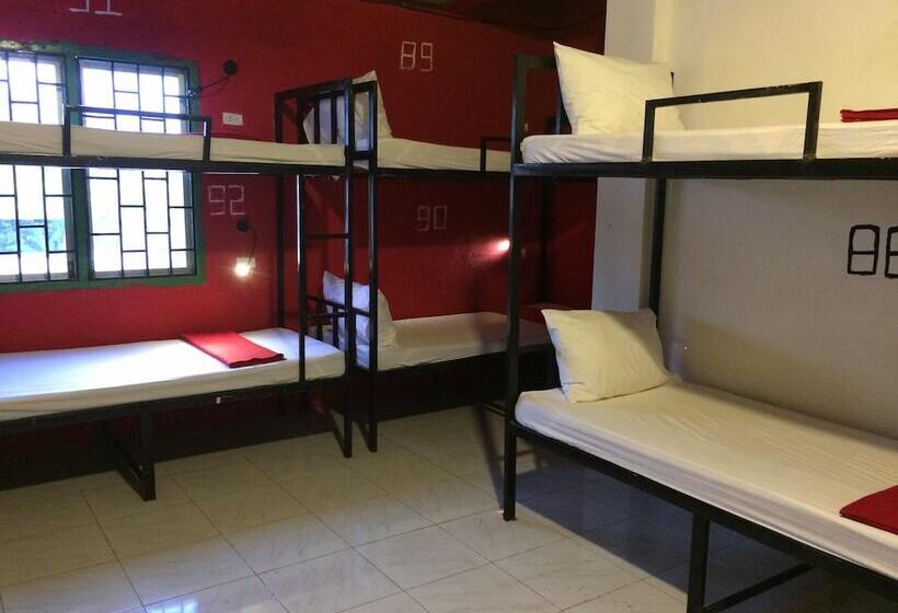 Кровать в Общей Комнате, Vangvieng Rock Backpacker Rooftop Hostel