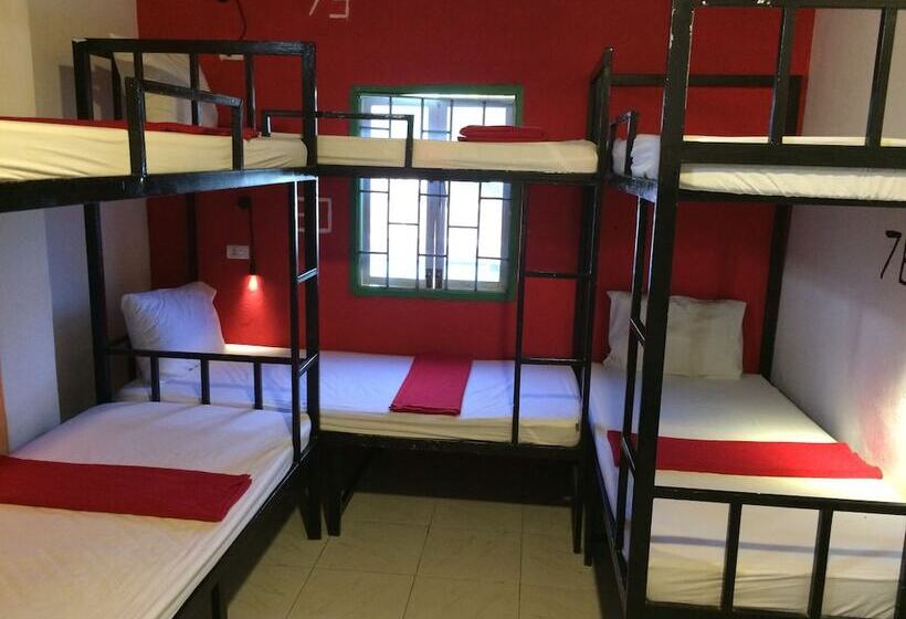 Кровать в Общей Комнате, Vangvieng Rock Backpacker Rooftop Hostel