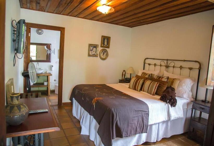 スタンダードルーム, Delirio Campestre