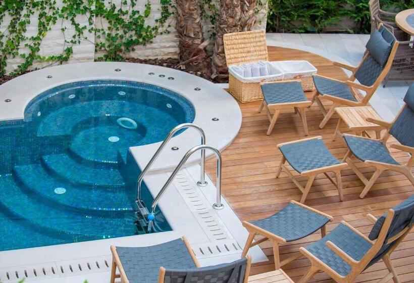 اتاق استاندارد, Forza Terra