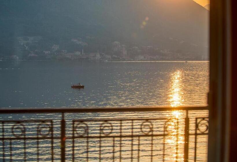 سوییت جونیور, Forza Terra