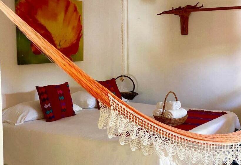 经济房, Para Ti Adults Only