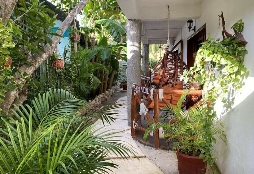 经济房, Para Ti Adults Only