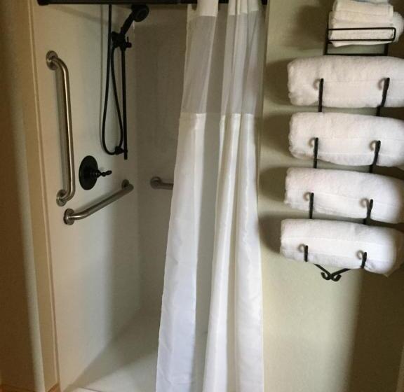 适合残疾人士使用的套间, Roam Inn